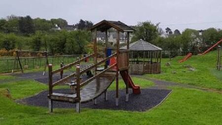 Laois Co Council to complete safety audit of all playgrounds in county 