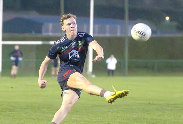 Danny O'Brien (Graiguecullen) playing for a score in the SFC relegation play-off win over Park/Ratheniska at Stradbally on Friday Photo: Denis Byrne Danny O'Brien (Graiguecullen) playing for a score in the SFC relegation play-off win over Park/Ratheniska at Stradbally on Friday Photo: Denis Byrne