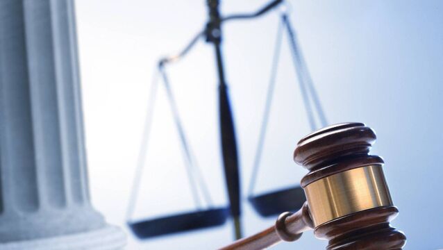 Laois pizza worker had fake car insurance