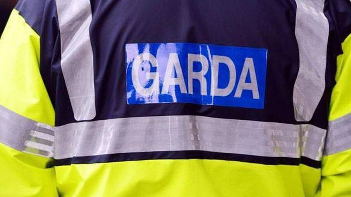 Woman told Laois garda at Portlaoise hospital, 'your kids will be raped' 