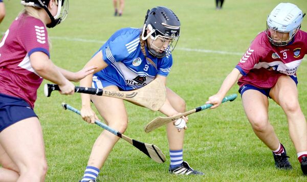 Laois's Aoife Finlay in action 	 Photo: Pascal Walsh