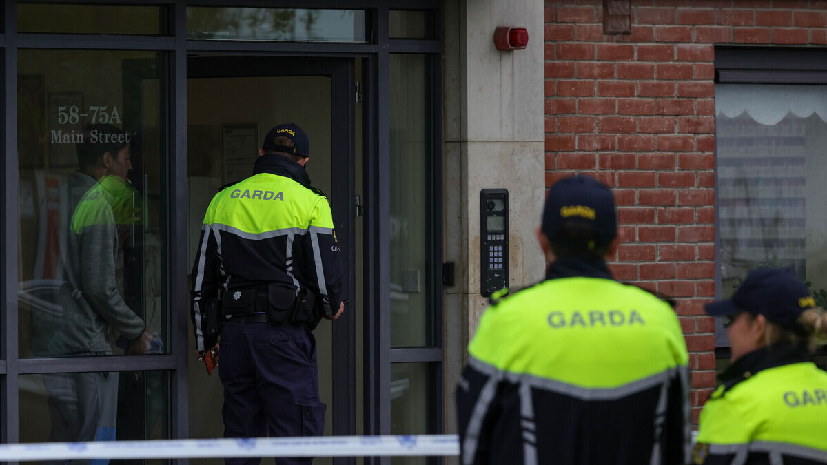 Two men arrested at scene of break-in in Graiguecullen