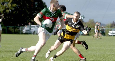 Late Graiguecullen rally seals senior survival as The Heath are relegated