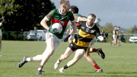 Late Graiguecullen rally seals senior survival as The Heath are relegated
