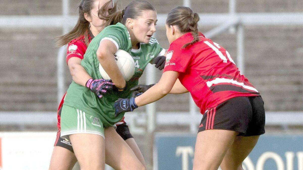 Relief and joy for Ferns as Shanahoe return to senior ranks