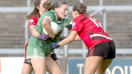 Relief and joy for Ferns as Shanahoe return to senior ranks