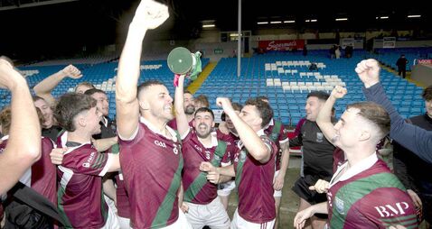 Portarlington underline their dominance with another county title
