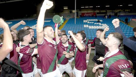 Portarlington underline their dominance with another county title