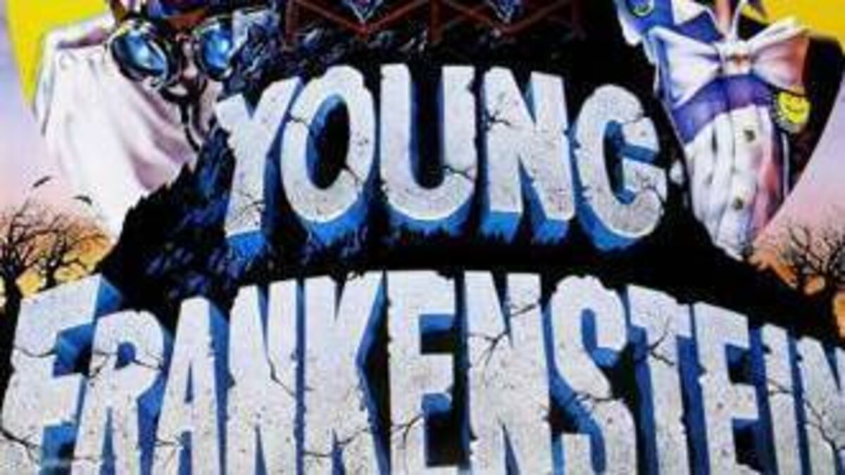 'Young Frankenstein’ set to terrify Dunamaise Arts Centre