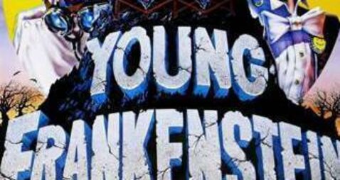 'Young Frankenstein’ set to terrify Dunamaise Arts Centre