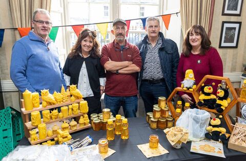 Preston House, Abbeyleix was a hive of activity at climate action event - News - Laois Nationalist