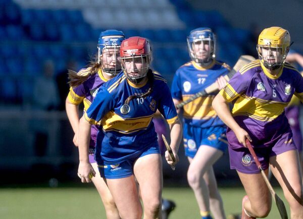 Chloe Boyhan (Clough/Ballacolla) breaking against St Brigid's in the Junior Camogie final on Saturday Photo: Denis Byrne Chloe Boyhan (Clough/Ballacolla) breaking against St Brigid's in the Junior Camogie final on Saturday Photo: Denis Byrne