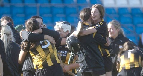 Fitzgerald fires Camross to back-to-back Intermediate titles