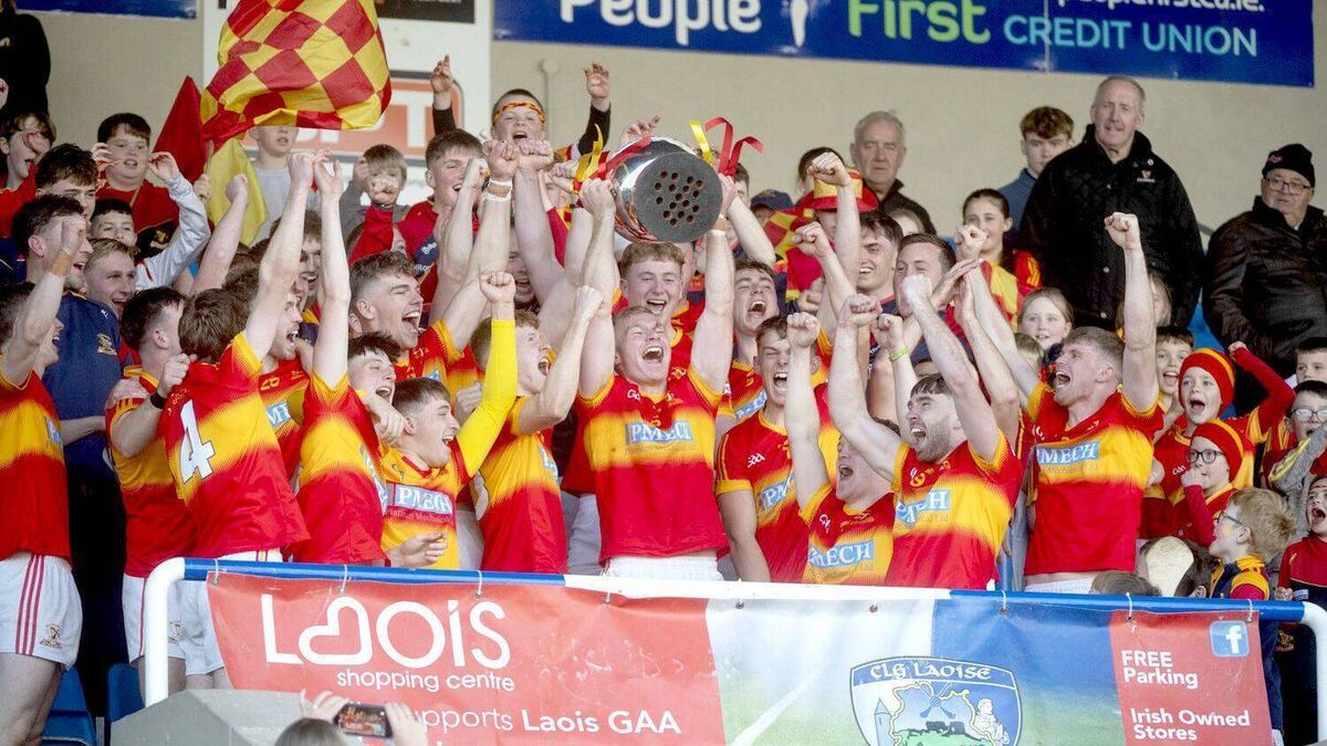No Egos, No Limits: Hogan praises Harps players