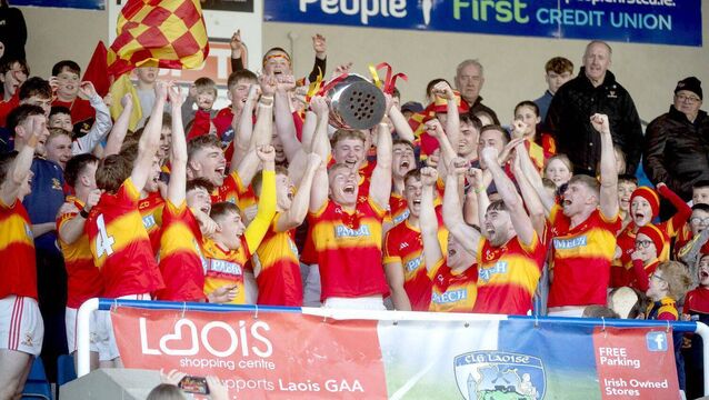No Egos, No Limits: Hogan praises Harps players 