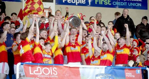 No Egos, No Limits: Hogan praises Harps players 