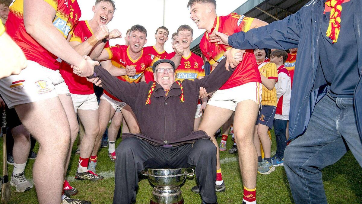 The Harps answer every question as new era of Laois hurling begins