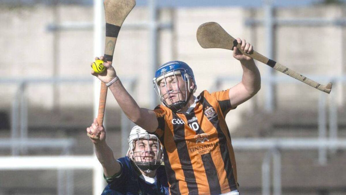 Camross’s bright future on show as majestic minors claim title