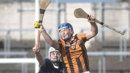 Camross’s bright future on show as majestic minors claim title 