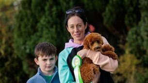 <p>Teddy Boo a Toy Poodle from Errill, Co. Laois, is pictured with Megan Fusco and her son after being crowned South Leinster provincial winner Petmania Puppy of the Year 2026</p> <p>Teddy Boo a Toy Poodle from Errill, Co. Laois, is pictured with Megan Fusco and her son after being crowned South Leinster provincial winner Petmania Puppy of the Year 2026</p>