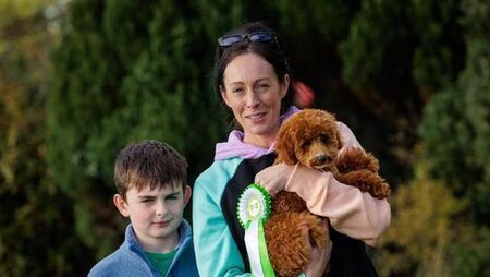 Laois puppy crowned South Leinster winner at Petmania Puppy of the Year 2026