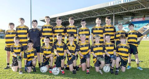 Mulhare's four-goal blitz powers The Heath to title glory