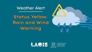 <p>Advice for residents and motorists has been issued by Laois Co Council, as Storm Austen looms</p>