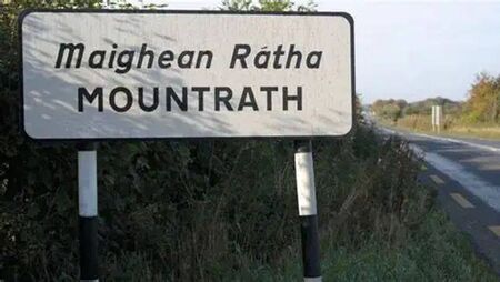Funding sought for roundabout near Laois secondary school  