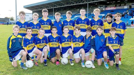 Gorry and Lima goals spur Killenard to the Division 1 crown 