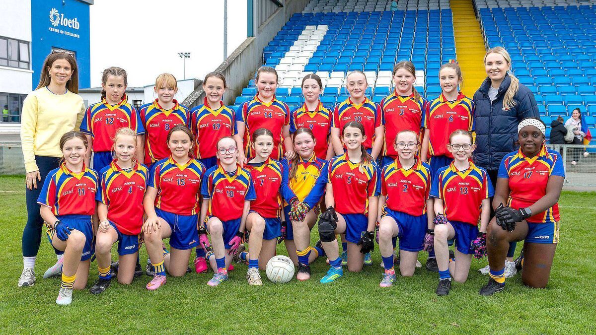 Smith and Gorman strike late as Mountmellick land Shield title