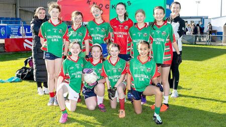 Miller's magnificent ten goals fire Knock NS to Division 3 title 
