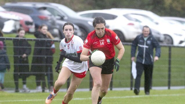 Edenderry goals knock Shanahoe out of Leinster 