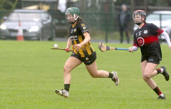 Andrea Scully (Camross) breaking against Mount Leinster Rangers in their Leinster Club Camogie game Photo: Denis Byrne Andrea Scully (Camross) breaking against Mount Leinster Rangers in their Leinster Club Camogie game Photo: Denis Byrne