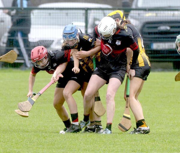 Battle for possession in the Leinster Camogie Club game between Camross and Mount Leinster Rangers Photo: Denis Byrne Battle for possession in the Leinster Camogie Club game between Camross and Mount Leinster Rangers Photo: Denis Byrne