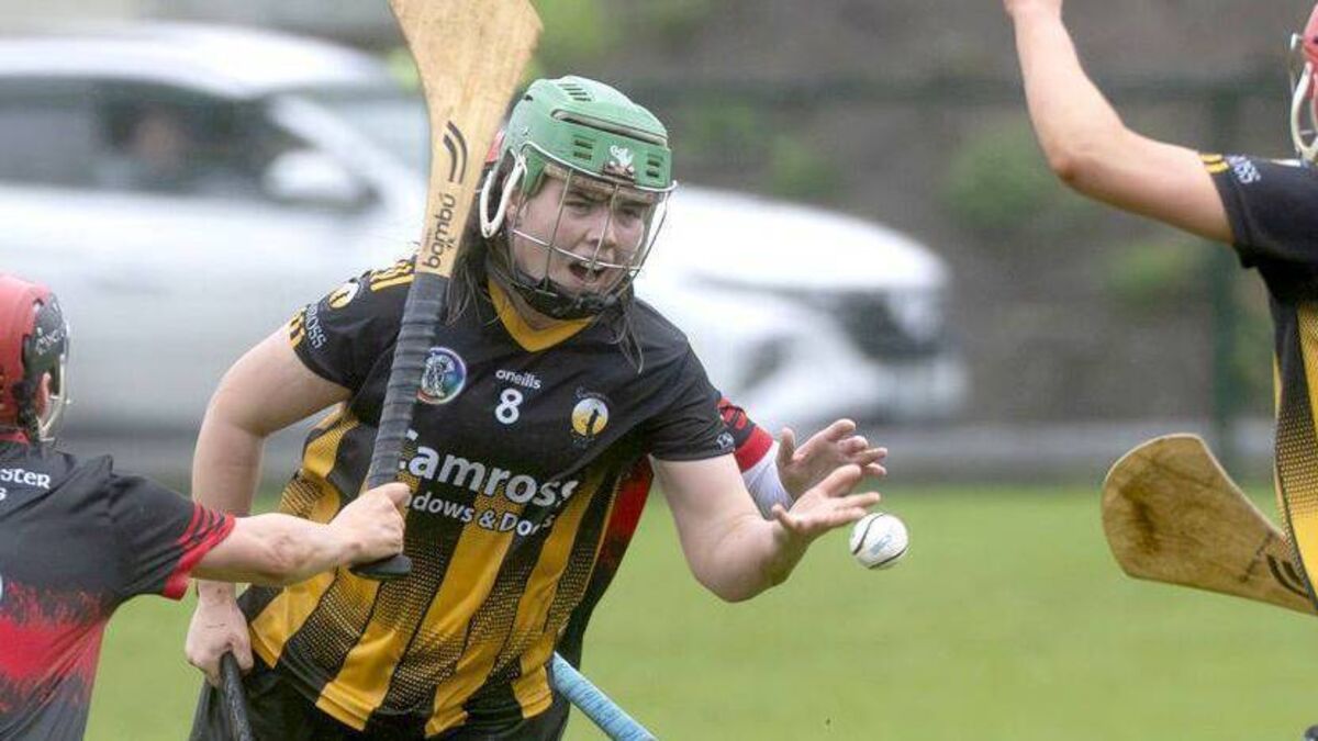 Camross dethroned by Carlow’s Mount Leinster Rangers