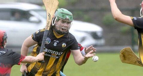 Camross dethroned by Carlow’s Mount Leinster Rangers 