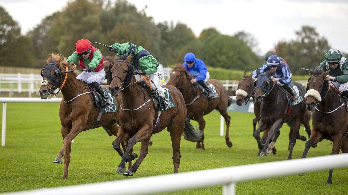 Laois jockey going all out to claim Champion Apprentice title