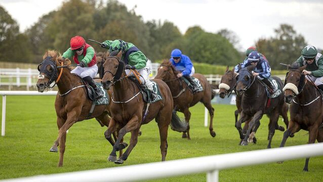 Laois jockey going all out to claim Champion Apprentice title 