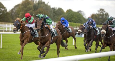 Laois jockey going all out to claim Champion Apprentice title 