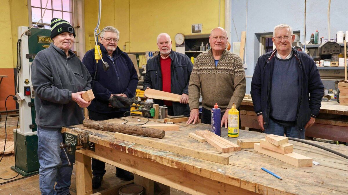 Laois Men’s Sheds take the lead in hands-on repair workshop