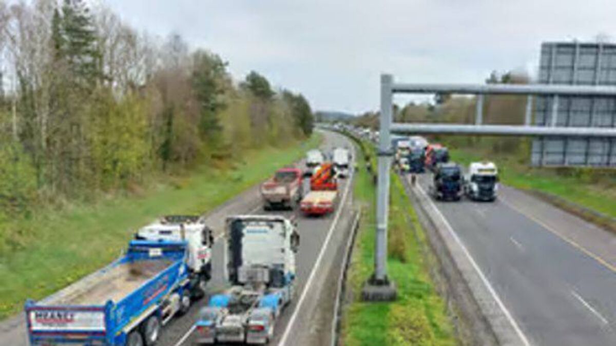 Multiple traffic studies set to be carried out in Laois